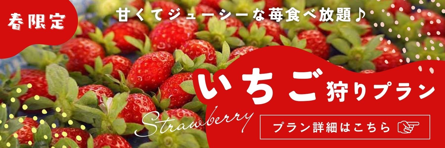 いちご狩りプラン